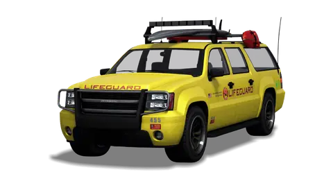 Declasse Lifeguard